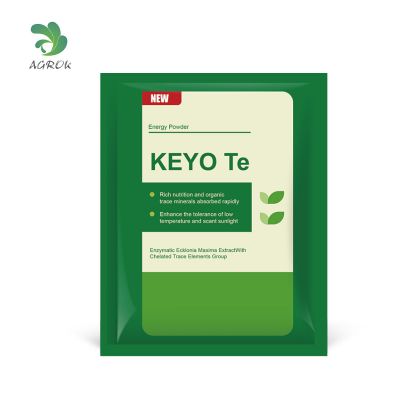 KEYO Te-Energy Powder