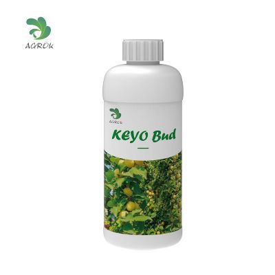 KEYO Bud-More Buds,More Joys